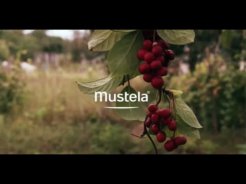 Gel lavant apaisant au schisandra BIO - Mustela France - 2