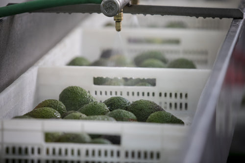 2023_MULTI_PURPOSE_BALM_V2_PERU_CAMPAIGN_PICTURES_FACTORY_18-min - Mustela France - 1