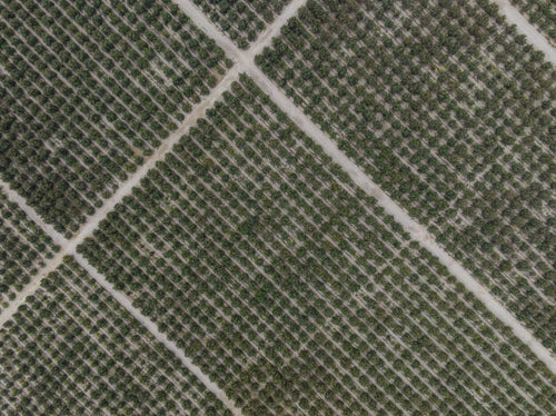 ABOUT-US_EN-SAVOIR-PLUS-SUR-MUSTELA_PHOTO-LIEN-NOS-ENGAGEMENTS - Mustela France - 1