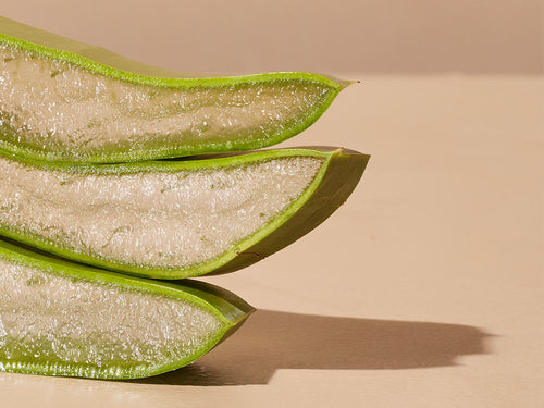 ALOE-VERA - Mustela France - 1