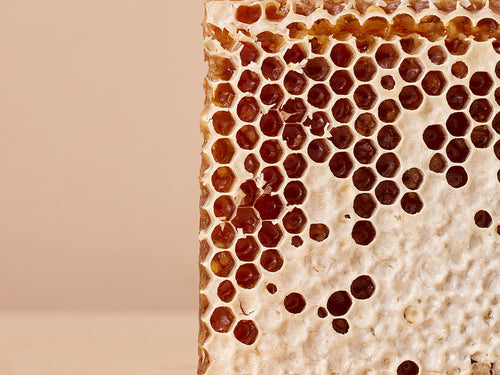 COLD_CREAM_1000X750_8059fcc9-b011-40f2-9a02-5823511c232d - Mustela France - 1