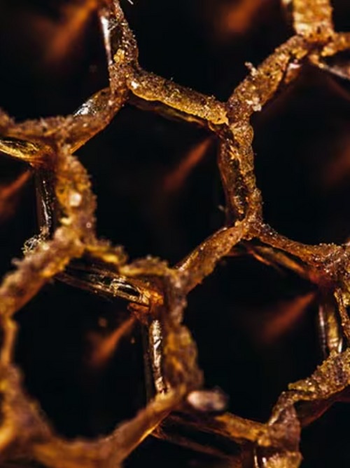 Capture_d_ecran_le_2024-07-12_a_14 - Mustela France - 1