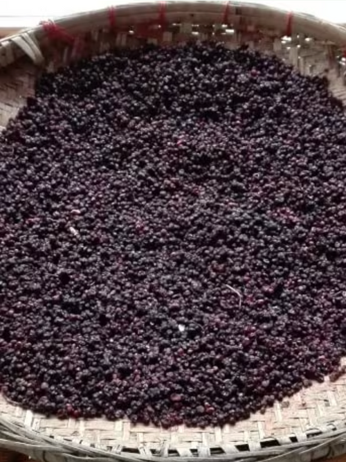 Capture_d_ecran_le_2024-07-12_a_15 - Mustela France - 1