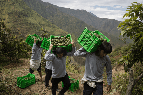 Capture_d_ecran_le_2025-09-01_a_10 - Mustela France - 1