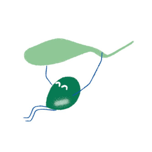 L_olive - Mustela France - 1