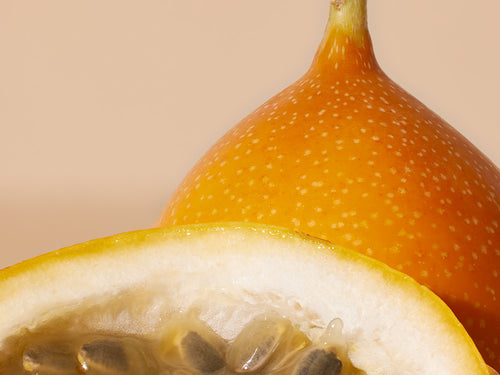 MARACUJA - Mustela France - 1