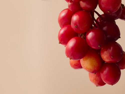 SHIZANDRA_HD - Mustela France - 1