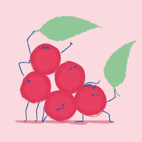 le-schisandra - Mustela France - 1