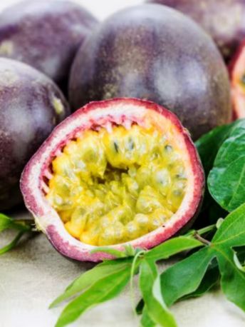 perou-maracuja - Mustela France - 1