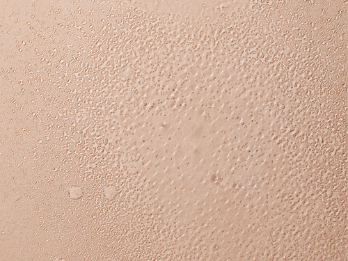 Eau Rafraichissante et Coiffante Bébé à l'eau de Camomille Bio - Mustela France - 2