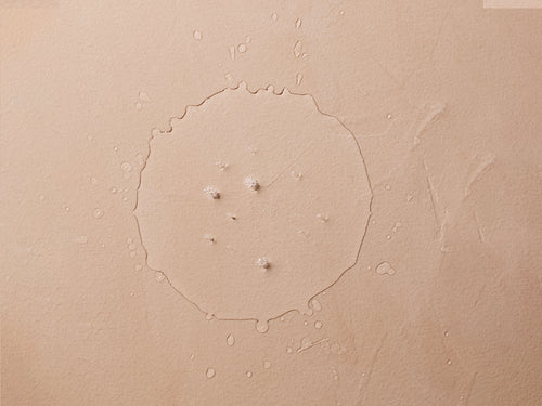 Eau micellaire sans rinçage certifiée BIO - Mustela France - 2